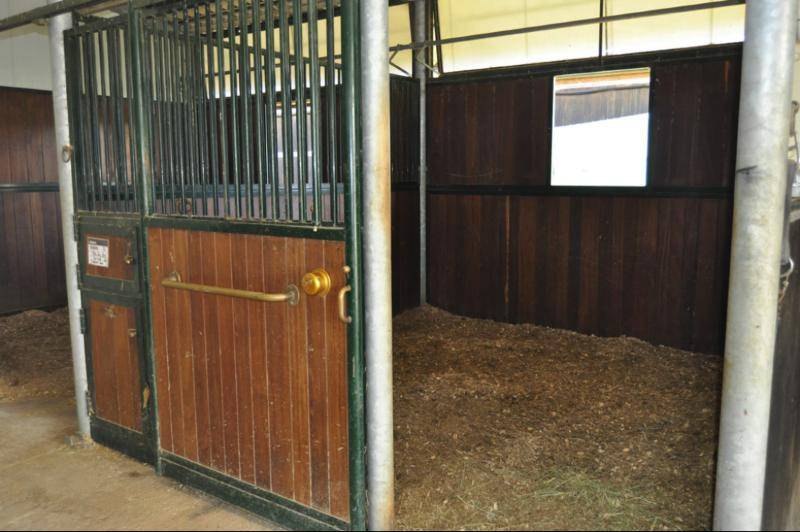 Box con cama de viruta