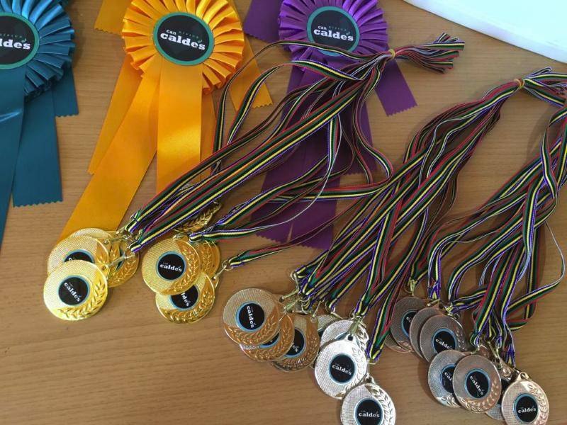 Escarapelas y medallas de Can Caldés