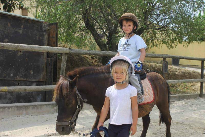 Hermanos con un poni